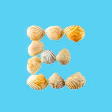 Letter "e" composed from seashells, isolated on gentle blue background 스톡 사진