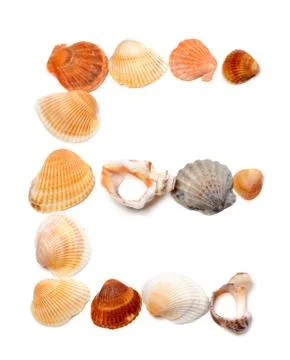 Letter E composed of seashells Stock Photos
