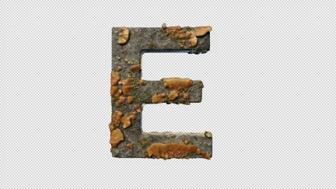 Letter E Stock Footage 306245596