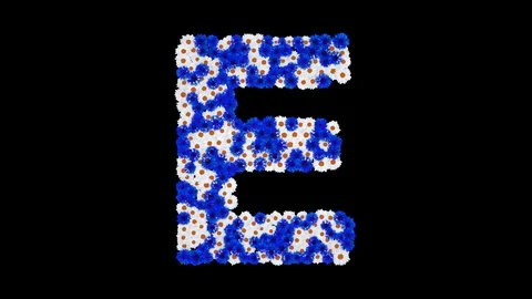 Letter E made of cornflowers and white daisy flowers Stock Footage 73942597