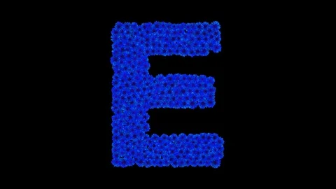 Letter E made of cornflowers Stock Footage 73942044