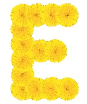 Letter e made from dandelions Stock Photos