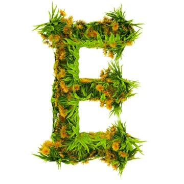 Letter E made of flowers and grass isolated on white. 3d illustration Stock Illustration