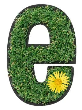 Letter E made of green grass with flowers isolated on a transparent background. Stock Photos