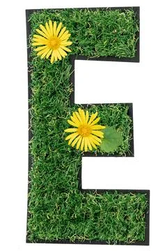 Letter E made of green grass with flowers isolated on a transparent background. Stock-Fotos