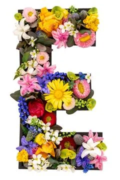Letter E made of real natural flowers and leaves on transparent background. Stock Illustration