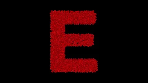 Letter E made of red roses Stock Footage 74167452