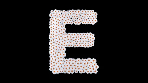 Letter E from white daisy flowers Stock Footage 73438410