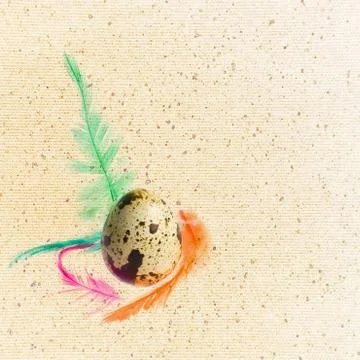 Letter, easter eggs with feathers . Fotos Stock