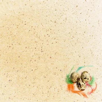 Letter, easter eggs with feathers . Stock Photos