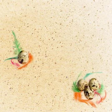 Letter, easter eggs with feathers . Stock Photos