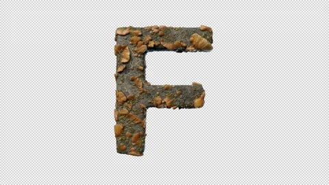 Letter F Stock Footage 306245925