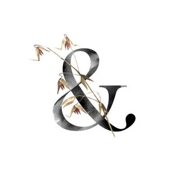Letter with flowers Stock Illustration