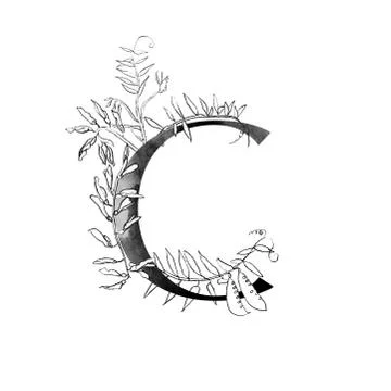 Letter with flowers Stock Illustration