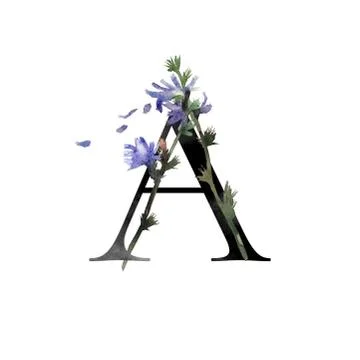 Letter with flowers Stock Illustration