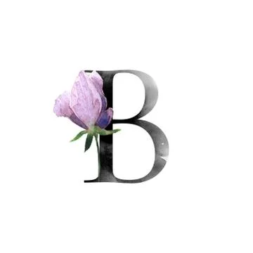 Letter with flowers Stock Illustration