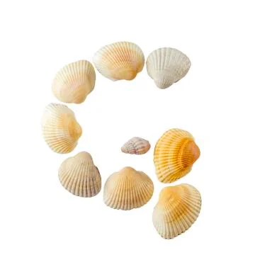 Letter "g" composed from seashells, isolated on white background Foto stock