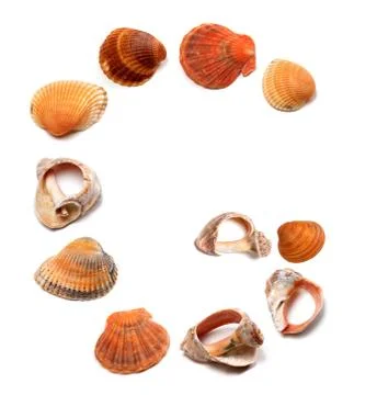 Letter G composed of seashells Stock Photos