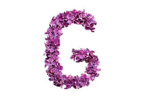 Letter G Foto stock