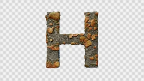 Letter H Stock Footage 306246580