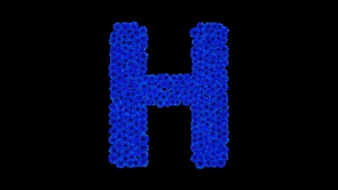 Letter H made of cornflowers Stock Footage 73942078