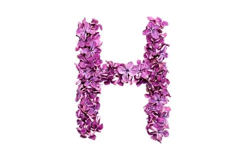 Letter H Stock Photos