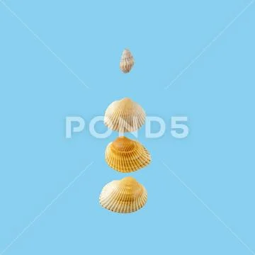 Letter "i" composed from seashells, isolated on gentle blue background ...