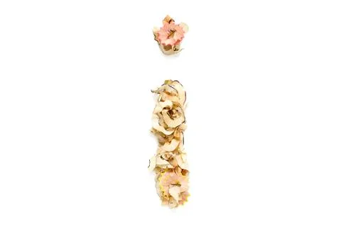 Letter i with Dot Stock Photos