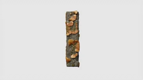 Letter I Stock Footage 306245970