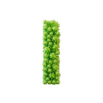 Letter I made from a virus flu and germ molecule. 3D Rendering 스톡 일러스트