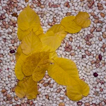 Letter k. Stock-Fotos