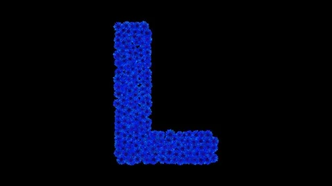 Letter L made of cornflowers Stock Footage 73942052