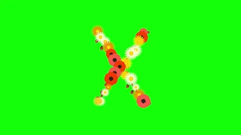 Letter Looping with Made - Chroma Key Green Screen Footage Video stock 337996479