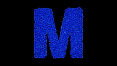 Letter M made of cornflowers Stock Footage 73942093