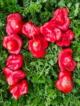 Letter m. Stock-Fotos