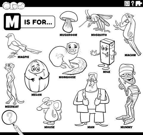 Letter m words educational set coloring book page Illustrazione stock
