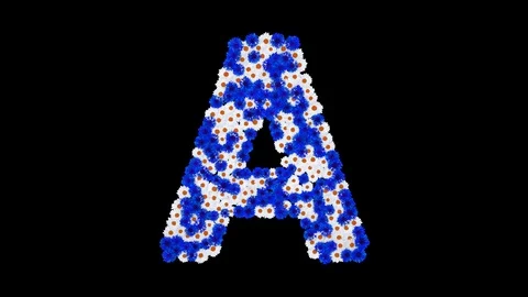 Letter A made of cornflowers and white daisy flowers Stock Footage 73942579
