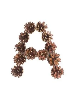 A letter made of pine cone Stock Photos