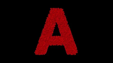 Letter A made of red roses Stock Footage 74167270