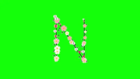 Letter Motion Isolated Green Screen Stock Video Stock Footage 337996349