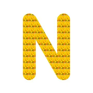Letter N alphabet Ilustración de archivo