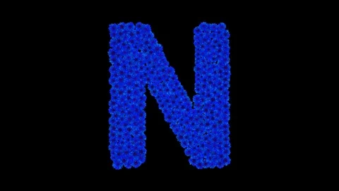 Letter N made of cornflowers Stock Footage 73942054