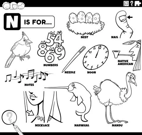 Letter n words educational set coloring book page Illustrazione stock