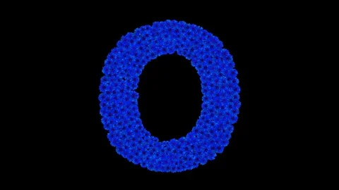 Letter O made of cornflowers Stock Footage 73942083