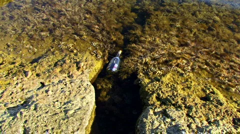 Letter in Ocean Cave 動画素材 587772