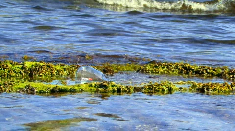 Letter in Ocean 動画素材 584975