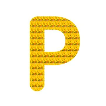 Letter P alphabet Illustration