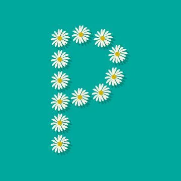 Letter P from chamomile Stock Illustration