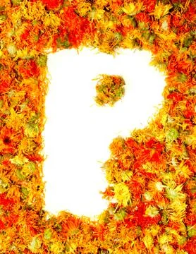 Letter p. Stock Photos