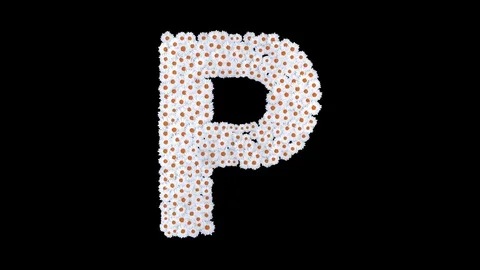 Letter P from white daisy flowers Stock Footage 73438341